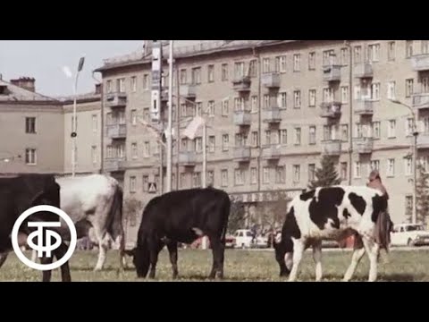 Видео: Этюды уральского города (1986)