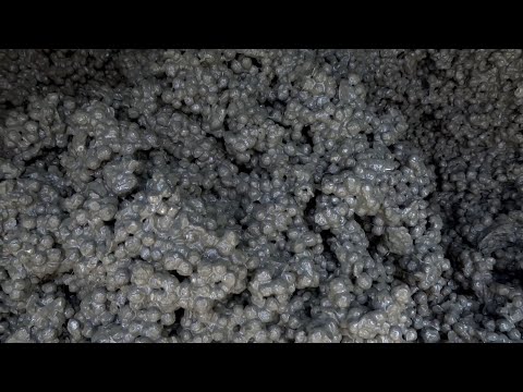 Видео: Первый замес полистиролбетона на новой дроблёнке