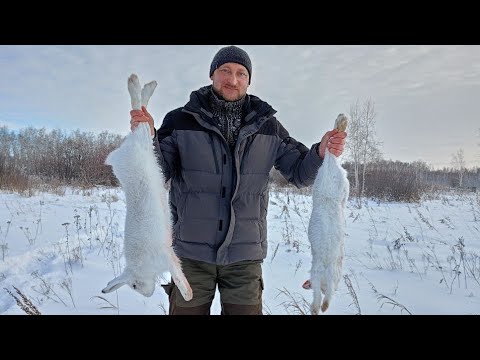 Видео: тропление зайца беляка/заяц лежит до последнего #заяцбеляк #охотаназайца #hunting #охотанабобра #