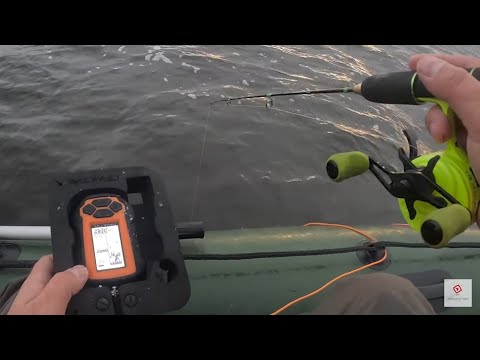 Видео: Рыбалка в отвес на Волге , берш на тюльку .