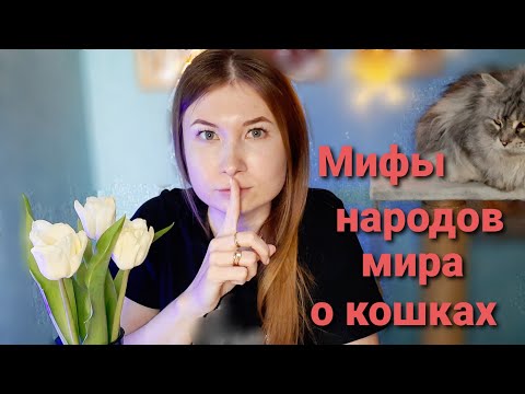 Видео: Кошачья мифология