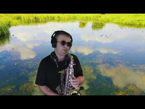 Видео: Раймонд Паулс - Любовь настала ( cover by Amigoiga sax )