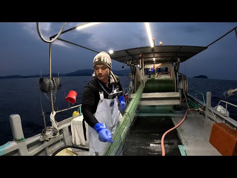 Видео: Ловля рыбы butter fish во Внутреннем Японском море и приготовление вкуснейших маринованных овощей