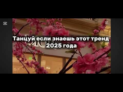 Видео: Танцуй если знаешь этот тренд 2025 года#edit #dance 