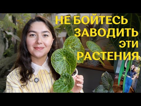 Видео: АЛЬТЕРНАТИВНЫЙ список НЕПРИХОТЛИВЫХ растений | коллекционные РАСТЕНИЯ, которые НЕСЛОЖНО выращивать 🪴