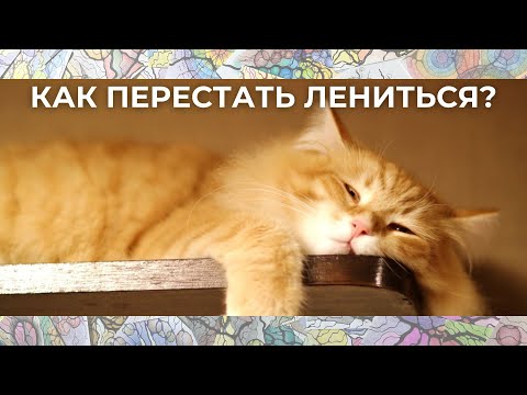 Видео: Как перестать ЛЕНИТЬСЯ? Что такое ЛЕНЬ? #нейрографикаработает