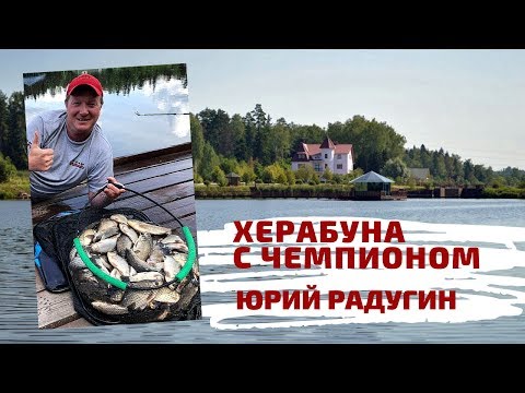 Видео: Юрий Радугин. Херабуна с Чемпионом.