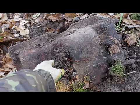 Видео: МЕТАЛОКОП! ЛЕС ПО ЧАЩЕ БЫ ТАКОЕ НАХОДИТЬ!