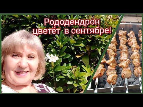Видео: Мариную  шашлык.. Счастливая  Пятница  с друзьями на даче 👍