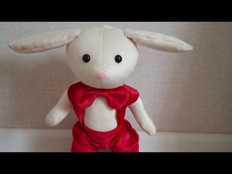 Видео: ҚОЯН ТІГЕМІЗ.