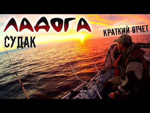 Видео: СУДАК !! ВОЛХОВСКАЯ ГУБА !! ЛАДОГА !!