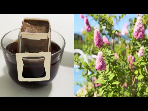 Видео: Утро минималиста, готовлю завтрак и убираюсь. Жить не спеша.