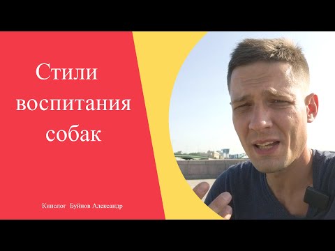 Видео: Стили воспитания собак | Какие бывают? | Плюсы и минусы дрессировки