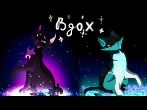 Видео: Искра и Остролистая-Ivypool and Hollyleaf[Коты Воители-Cats Warriors-Warriors Cats{ Вдох }] AMV