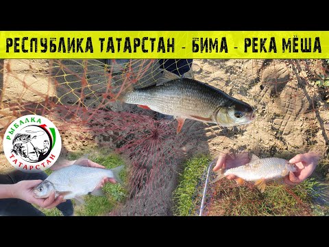 Видео: Рыбалка в Татарстане - Бима - Река Мёша