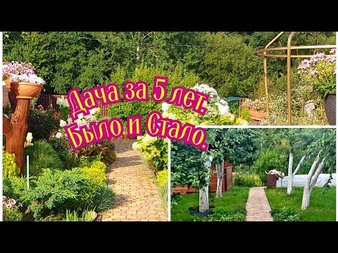 Видео: Как изменилась дача за 5 лет!??🧐🌲🌸💚 Было и Стало👌👍 #любимаядача