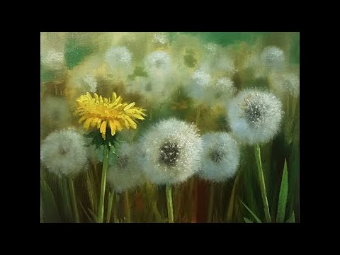 Видео: Dandelions  Одуванчики  Vugar Mamedov