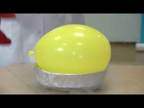 Видео: Бррр! Студ