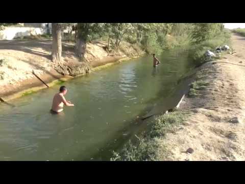 Видео: ауылым алтын бесігім Ақалтын ауылы