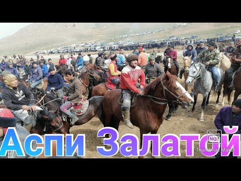 Видео: Бузкаши Дар Деҳаи Колхозчиён 21.03.2022
