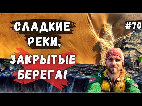 Видео: Та самая Бразилия, где много диких обезьян! Велопутешествие #70
