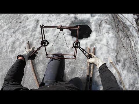 Видео: Отлов 2024, 15–18 марта