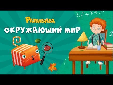 Видео: Развлечёба. Что будет, если...не ходить в школу