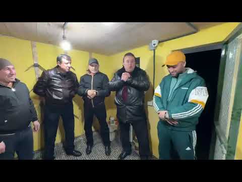 Видео: В гостях у нашего Брата Ходжи Алишера (первая часть) #pigeon голуби Такла ТАДЖИКИСТАН ГОРОД ДУШАНБЕ