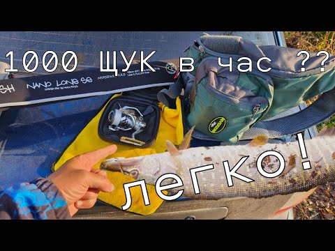 Видео: 1000 щук в час ? Легкотня ! Лови столько, сколько сам захочешь ! Рыбалка на "тоненького".Стритфишинг