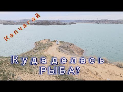 Видео: КАПЧАГАЙ где Рыба??? Апрель 2025 рыбалка..