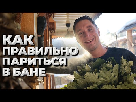 Видео: Как правильно париться в бане? Репортаж из парной в Живой Бане. Прямой эфир 12.11.2023.