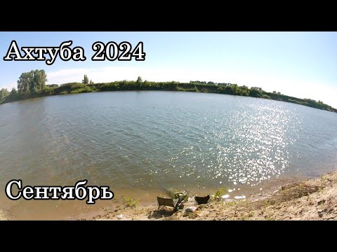 Видео: Ахтуба 2024 год #fishing #рыбалка #fish