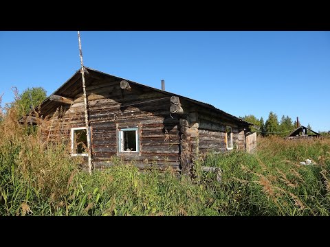 Видео: Путешествие на Ямозеро Ч25. Изба. Заброшенная рыболовецкая база. Грибы. Волок. Один в глухой тайге
