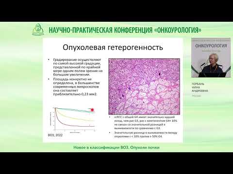 Видео: Новое в классификации ВОЗ  Опухоли почки