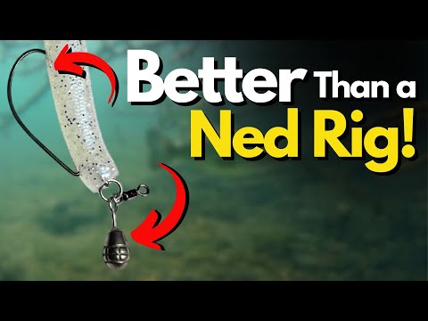 Видео: Это ПОЛНОСТЬЮ заменило мне установку Неда. Многие зрители просили это видео.