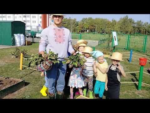 Видео: Уборка урожая