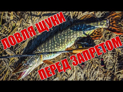 Видео: Ловля щуки весной перед запретом | Спиннинг перед половодкой | Щука в марте