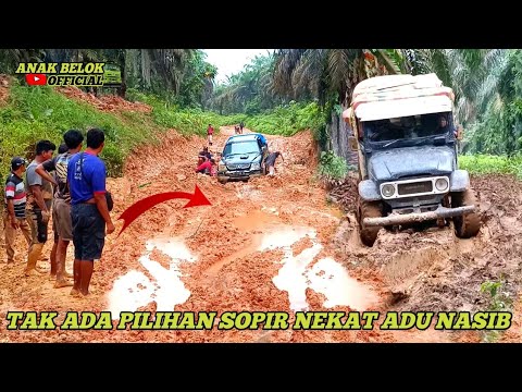 Видео: Путешествие, не похожее ни на одно другое | Препятствия, мешающие автомобилям, приводят водителей