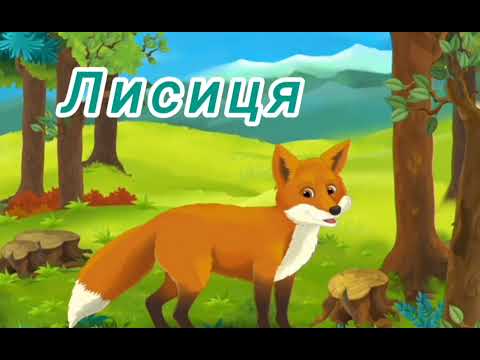 Видео: @Лисенятко_Редлі 