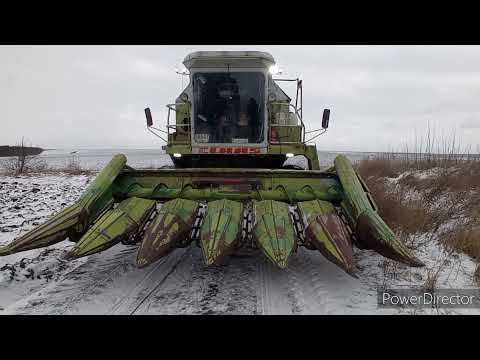 Видео: молотим кукурудзу в -10°с