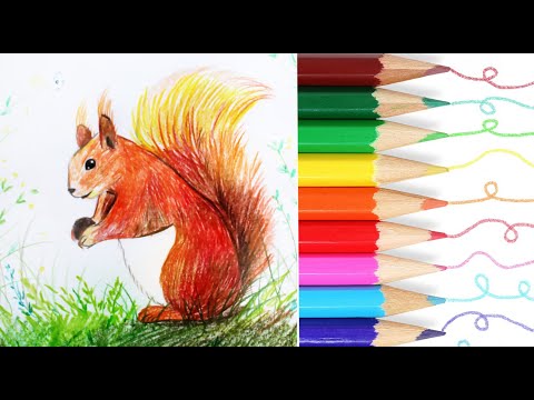 Видео: Белочка, урок для детей 5-8 лет