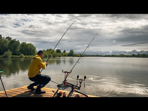 Видео: Чорні Амури і Коропи розгинають гачки