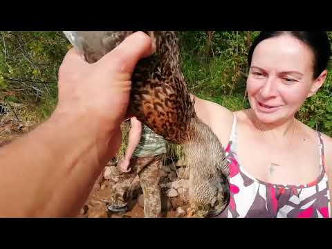 Видео: Сгоняли на пару дней на Селигер с поздравлениями))