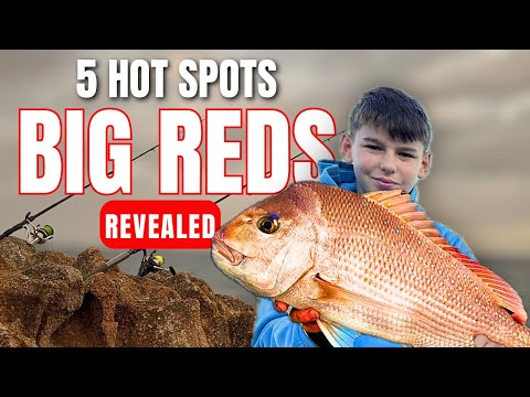 Видео: Сезон ловли снэппера открыт! 5 наземных точек уже в продаже | Залив Порт-Филлип