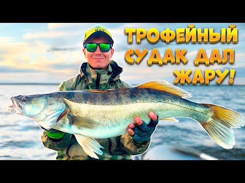 Видео: ТРОФЕЙНЫЙ СУДАК ДАЛ ЖАРУ! ЛОВЛЯ КРУПНОГО СУДАКА.