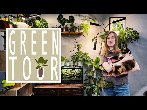 Видео: GREEN TOUR🪴/В гостях у Александры/Больше 100 растений и флорариумы в съёмной квартире.