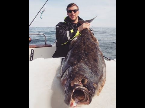 Видео: Ловля палтуса в Норвегии. Эффективный способ! 20 палтусов за 5 дней! Halibut fishing.