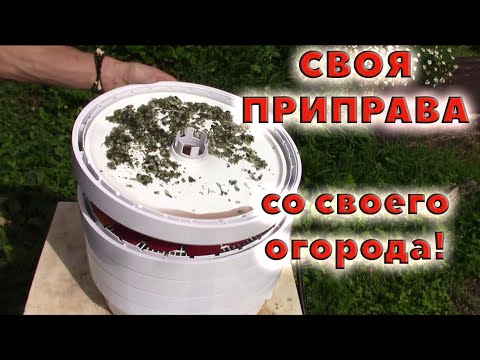 Видео: Собственная приправа к мясу с сушилкой Волтера