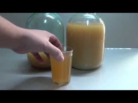 Видео: Вино из ранеток