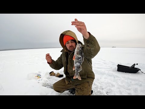 Видео: РЫБАЛКА В КАРЕЛИИ! НА ОЗЕРЕ СЯМОЗЕРО \ ЛОВИМ ОКУНЯ, ХОЛОДНО